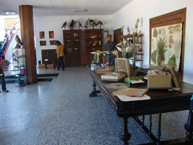 DSC03875