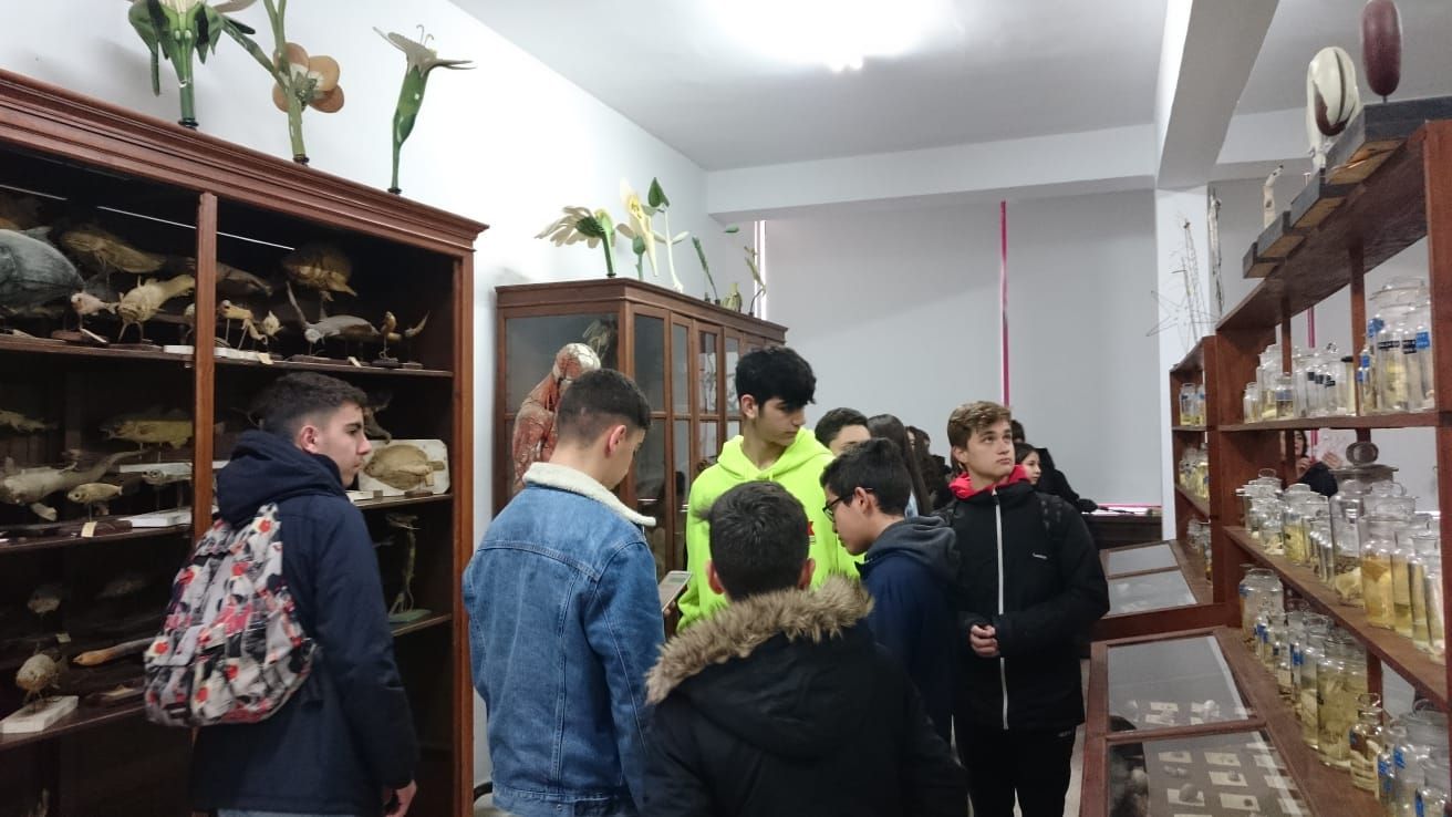museo de ciencias 3