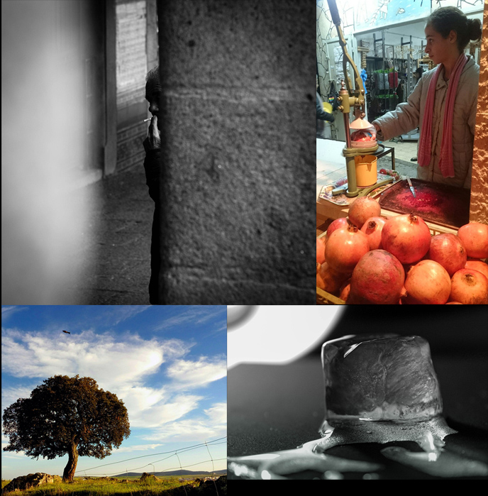 ganadores foto 2017